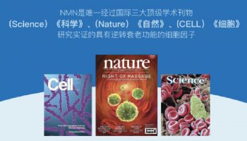 新闻2 新闻2